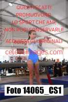 14065_CS1-
