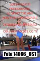 14066_CS1-