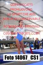 14067_CS1-