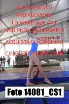 14081_CS1-
