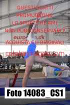 14083_CS1-