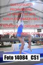 14084_CS1-