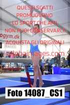 14087_CS1-