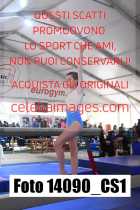 14090_CS1-
