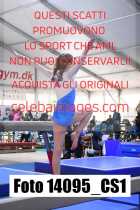 14095_CS1-