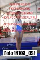 14103_CS1-