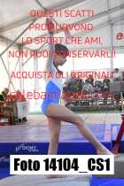 14104_CS1-