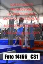 14166_CS1-