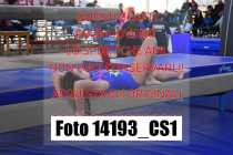 14193_CS1-