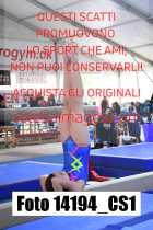 14194_CS1-