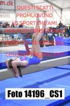 14196_CS1-
