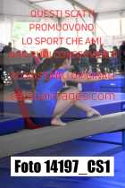 14197_CS1-