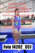 14202_CS1-