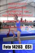 14203_CS1-