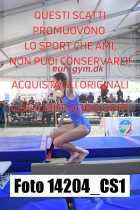 14204_CS1-