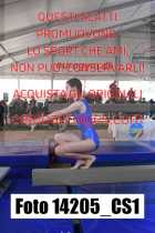 14205_CS1-