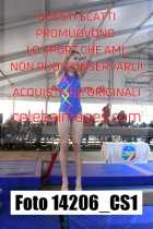 14206_CS1-