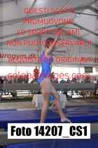 14207_CS1-