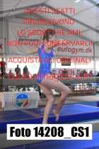 14208_CS1-