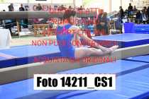 14211_CS1-