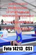 14213_CS1-