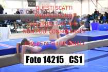 14215_CS1-