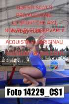 14229_CS1-