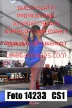 14233_CS1-