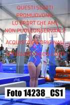 14238_CS1-