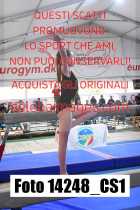 14248_CS1-