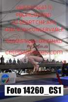 14260_CS1-