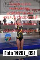 14261_CS1-