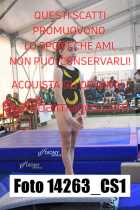 14263_CS1-