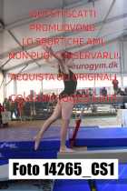 14265_CS1-