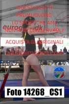 14268_CS1-