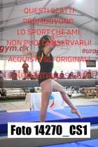 14270_CS1-