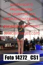 14272_CS1-