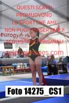 14275_CS1-