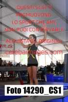 14290_CS1-