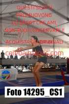 14295_CS1-