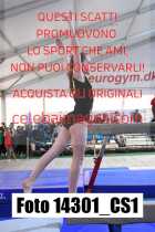 14301_CS1-