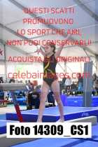 14309_CS1-