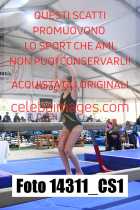 14311_CS1-