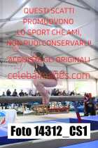 14312_CS1-