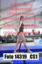 14319_CS1-