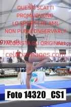 14320_CS1-
