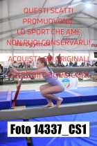 14337_CS1-
