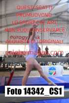 14342_CS1-