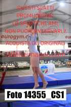 14355_CS1-