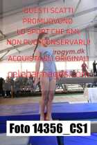 14356_CS1-
